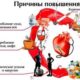 как понизить давление, народные средства от давления, быстро сбить давление, гипертония лечение без таблеток, medsanitar